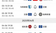 星空体育活动-多特蒙德在对阵汉堡的比赛中取得胜利，积分稳固领先的简单介绍