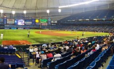 星空体育官方登录入口-中国代表团在2022年亚运会上获得多项金牌，亚运会中国代表团人数本届