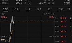 单场数据刷新纪录，创造历史新高的简单介绍