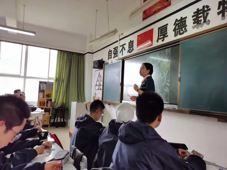 来自后备队的年轻新秀，对球队是否有裨益？的简单介绍