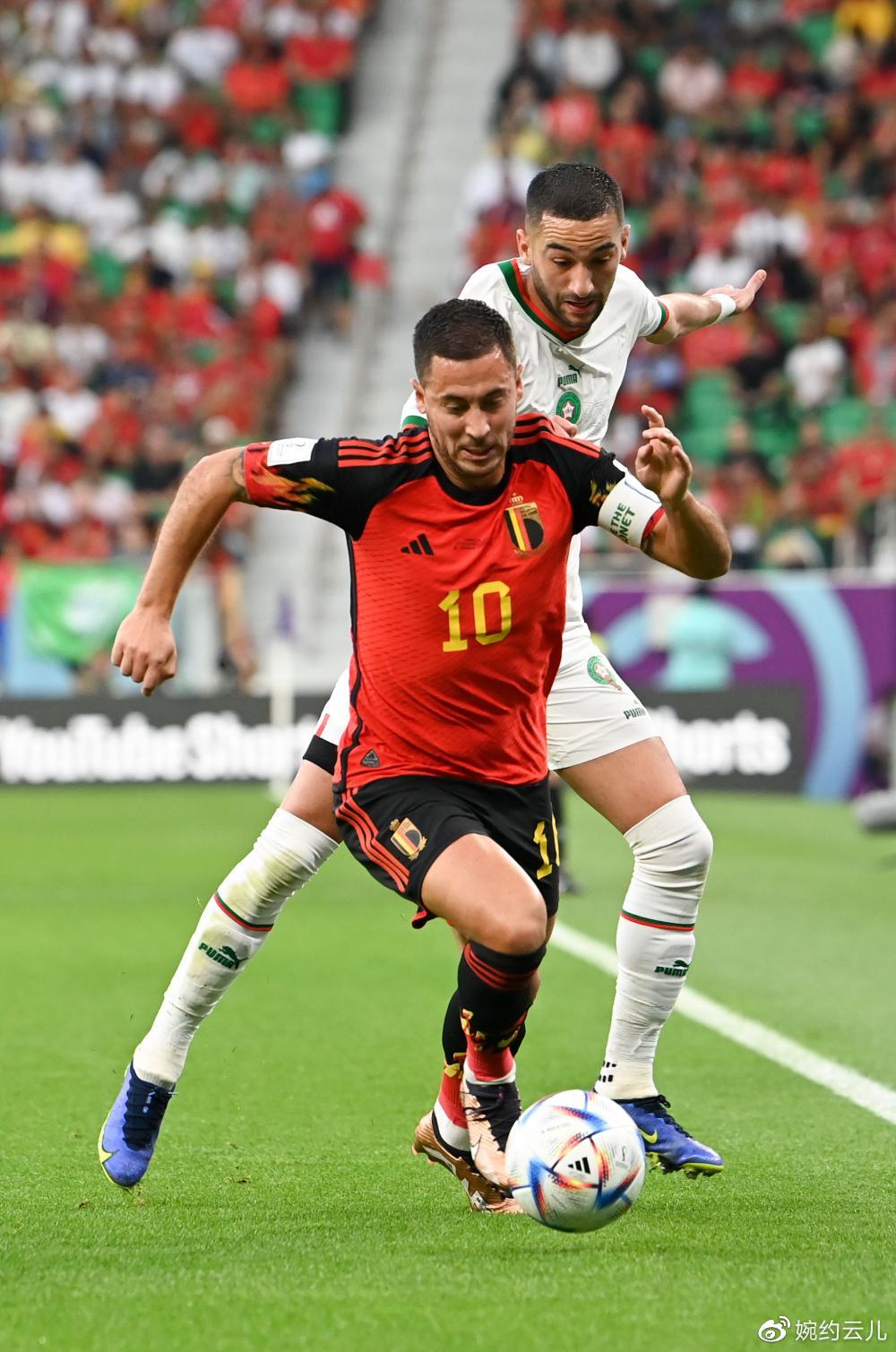 比利时队员在年实现了哪些突破？的简单介绍